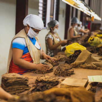 Tabacco riscaldato: Cia, su riforma accise serve tavolo tra istituzioni e filiera