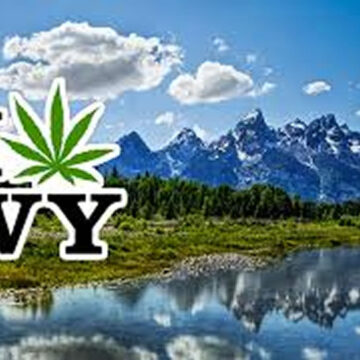 USA: il Wyoming è pronto per la legalizzazione della cannabis