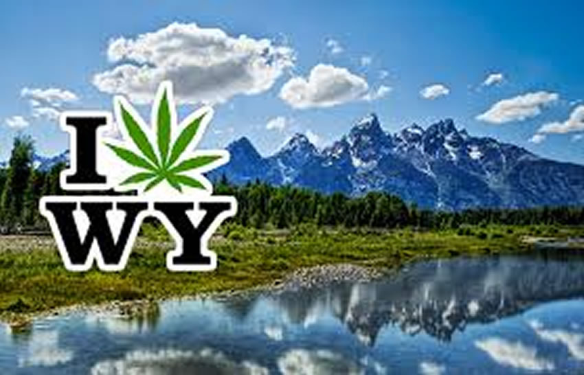 USA: il Wyoming è pronto per la legalizzazione della cannabis
