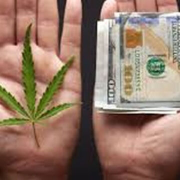 La legalizzazione della Cannabis abbatterà il prezzo di vendita?