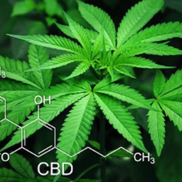 Cannabis terapeutica: uno studio statunitense fa emergere l’utilità contro il dolore, ma a costi troppo alti