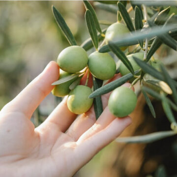 Donne in Campo-Cia scrive a Patuanelli: imprenditrici cruciali per agricoltura del futuro