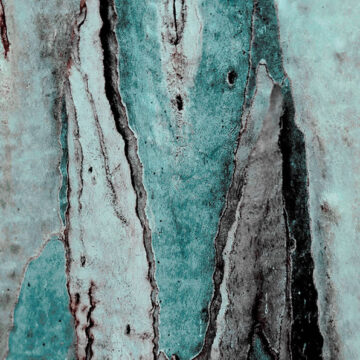 Roma, Galleria d’arte moderna: L’inno alla vita di Nina Maroccolo, tra lirica e fotografia – fino al 29 Agosto 2021