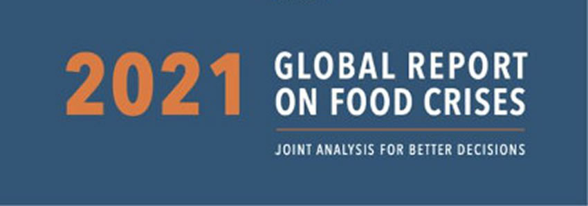 Crisi alimentare nel mondo: il rapporto 2021