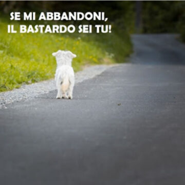 SE LI ABBANDONI, IL BASTARDO SEI TU