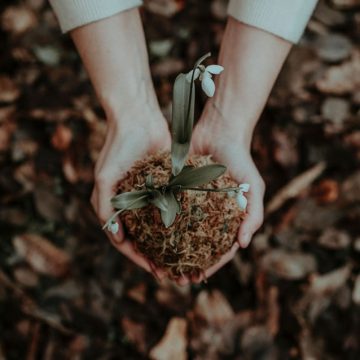 Agricoltura: biologico: solo il 5% delle sementi è bio, servono nuove e maggiori varietà