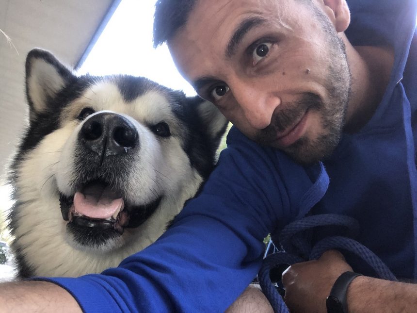 Animali domestici: L’aggressività può essere innescata da una mala gestione dell’animale