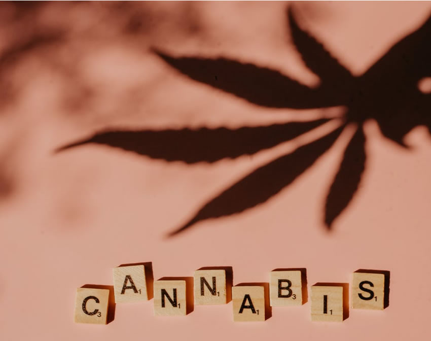 CANADA e legalizzazione della Cannabis – Québec: sostituire il mercato nero