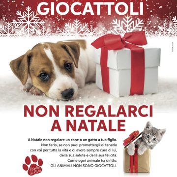 Non siamo giocattoli, non regalarci a Natale! La campagna del Fondo Amici di Paco a tutela di cani e gatti