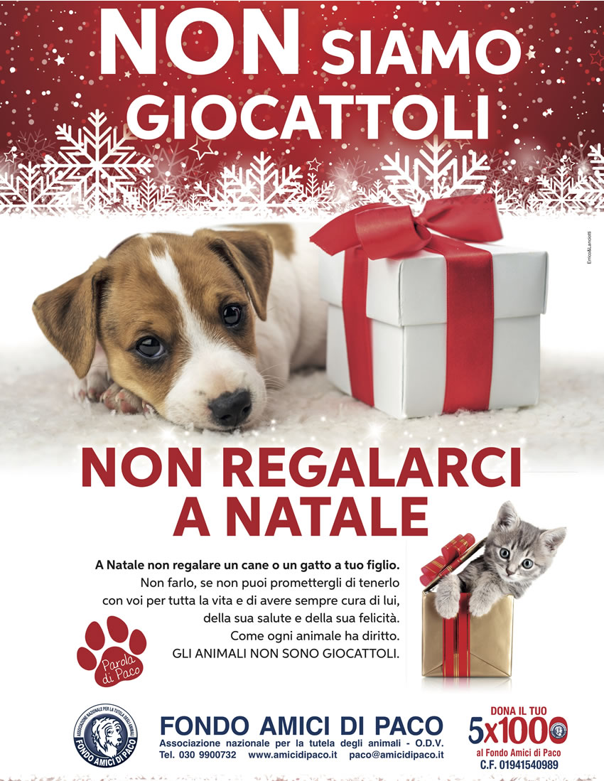 Non siamo giocattoli, non regalarci a Natale! La campagna del Fondo Amici di Paco a tutela di cani e gatti