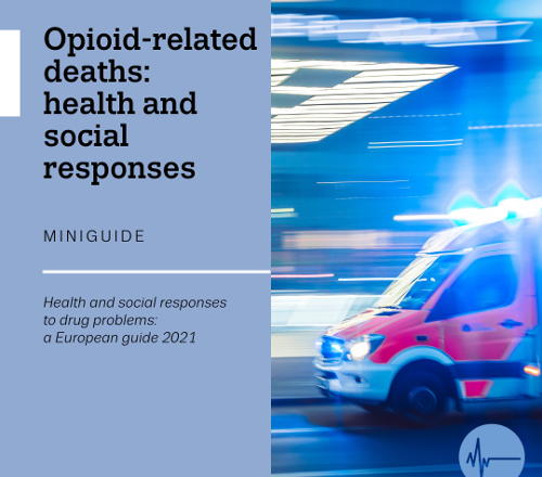 ERG2021-Miniguide-deaths_0 UE: decessi causati dall’uso di oppioidi