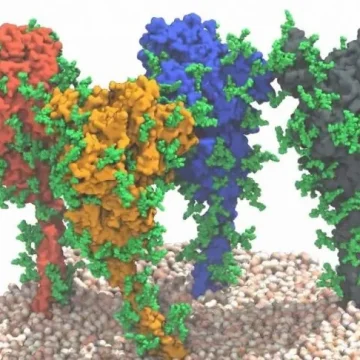 Sistema AI di early warning per individuare nuove varianti del coronavirus