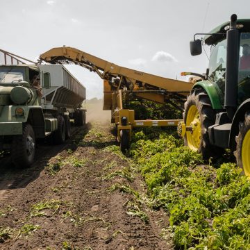 Agricoltura: costi alle stelle, peste suina e fauna selvatica – Manifestazione di categoria Lunedì 28 Febbraio 2022