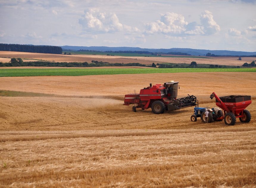 Fieragricola: Cia, da PNRR 500 mln per spingere transizione digitale del settore