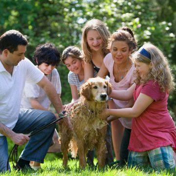 Cani: al via la prima fiera-festival nazionale – Padova, 23/25 Aprile 2022