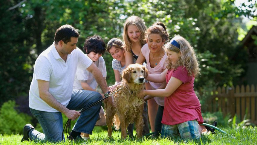 Cani: al via la prima fiera-festival nazionale – Padova, 23/25 Aprile 2022