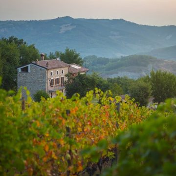 Sullastradadelvino – in Piemonte per incontrare Paolo Carlo Ghislandi, titolare dell’azienda I Carpini