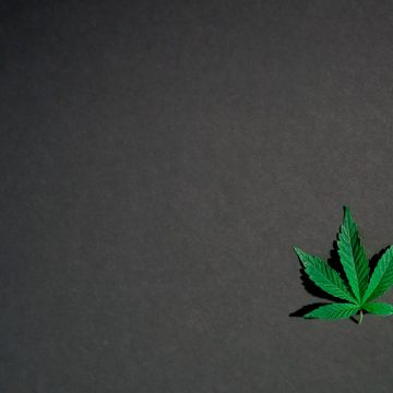 Cannabis: nuovi modelli di legalizzazione