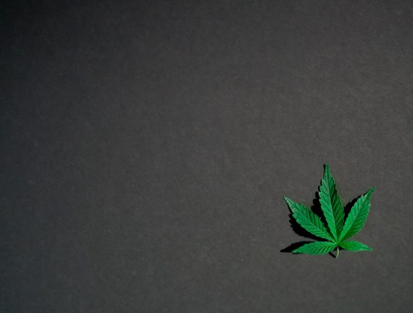 Cannabis: nuovi modelli di legalizzazione