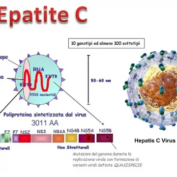 Epatite C: i farmaci efficaci esistono ma servono test rapidi per identificare il sommerso