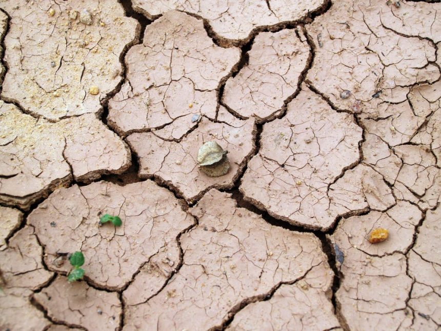 Emergenza idrica, climatica, ambientale e alimentare: perché i giornali e le tv non ne parlano?