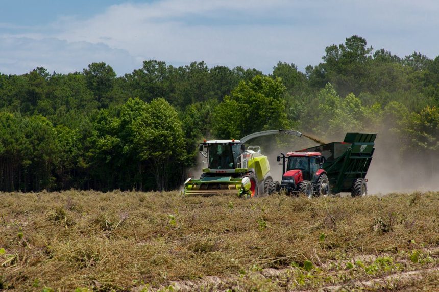 Decreto Aiuti – Cia: estendere credito d’imposta per acquisto gasolio agricolo