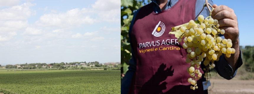 Parvus Ager si racconta a SullaStradaDelVino – Rubrica a cura di Massimo Casali e Susanna Schivardi