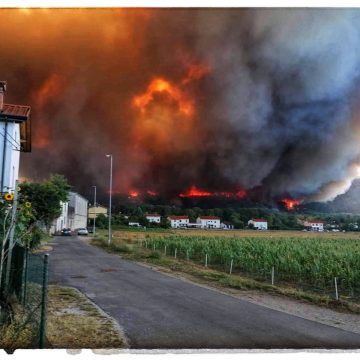 Italia in fiamme: brucia la fiamma e non arde più nel cuore… Cronache dal Carso