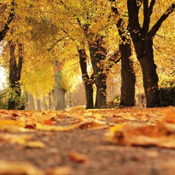Verso Settembre…