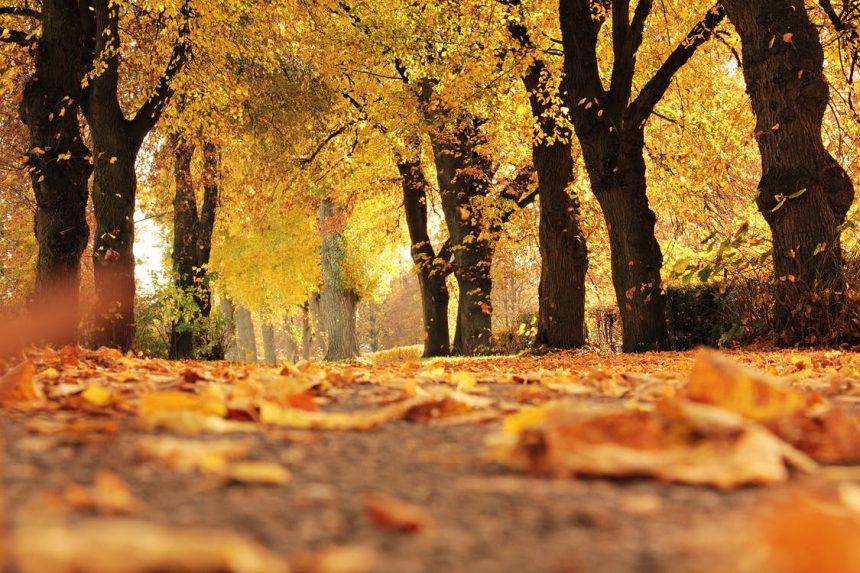 Verso Settembre…