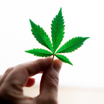 Cannabis legale: il mercato mondiale è in crescita esponenziale