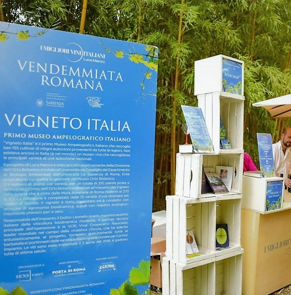 “Sulla Strada Del Vino” racconta la Vendemmiata Romana 2022: Festa dell’uva del Vigneto Italia – all’Orto Botanico di Roma