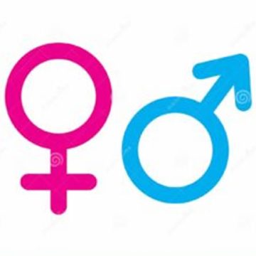 Maschile, femminile e… schwa