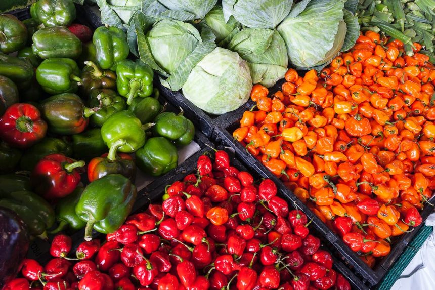 Export – Cia, agroalimentare tricolore verso nuovo record con +17,3%