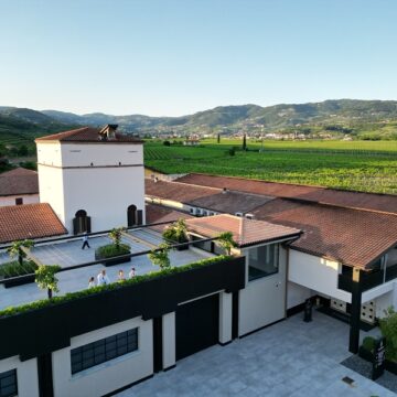 Studio Winesens in Valpolicella: come l’azienda Farina coniuga sostenibilità e qualità del vino
