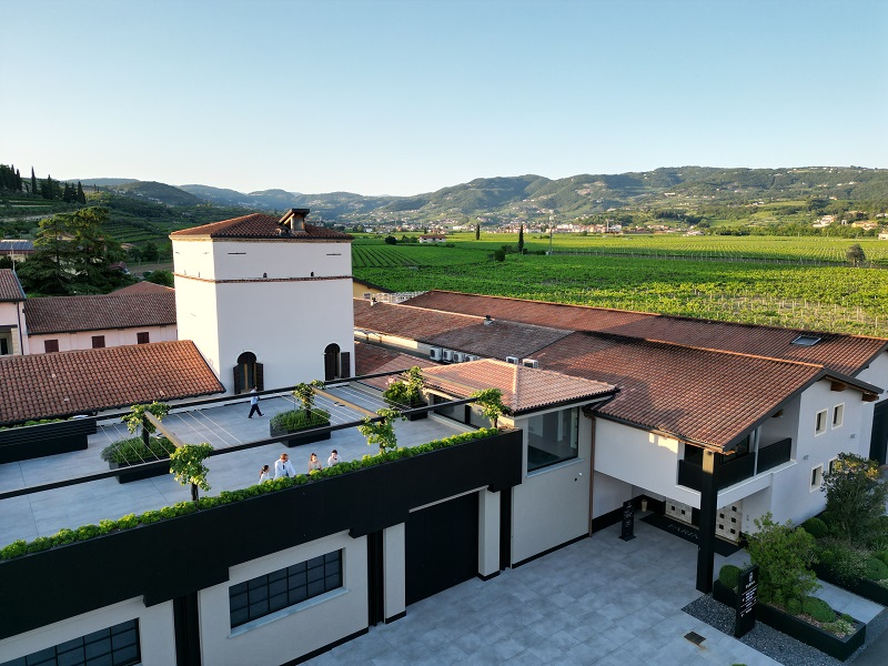Studio Winesens in Valpolicella: come l’azienda Farina coniuga sostenibilità e qualità del vino