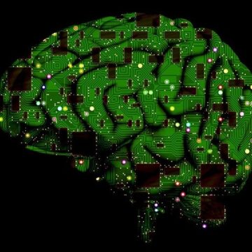 Indagine – Intelligenza Artificiale e sostenibilità: un binomio possibile?