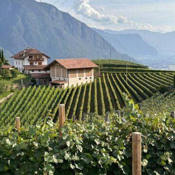 Cantina Rottensteiner: sinonimo di tradizione e qualità