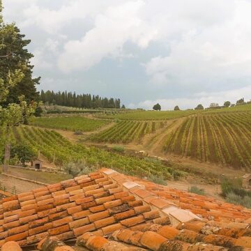 Tenuta Casenuove scrive un nuovo capitolo del Chianti Classico