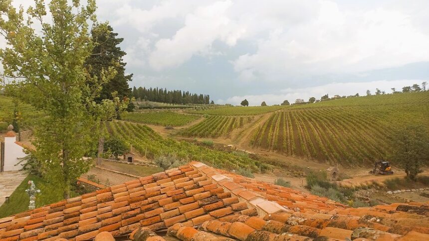 Tenuta Casenuove scrive un nuovo capitolo del Chianti Classico