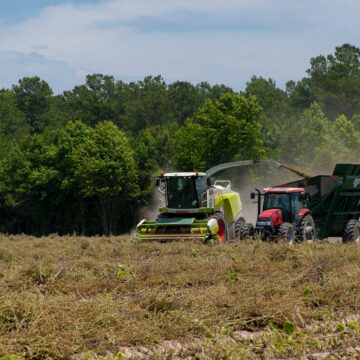 Ue – gli Agricoltori meritano di più – Cia: deroga Commissione insufficiente