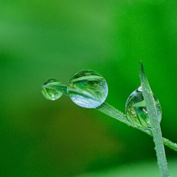 Dal greenwashing alla compliance normativa: i rischi d’impresa