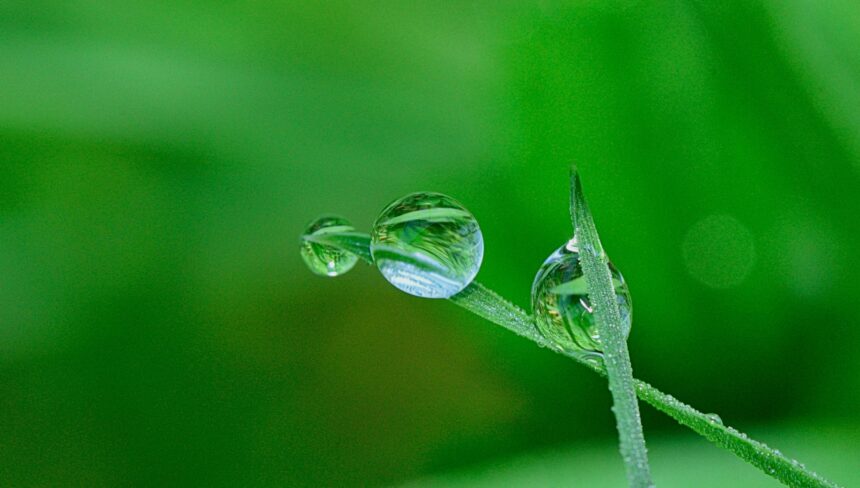 Dal greenwashing alla compliance normativa: i rischi d’impresa