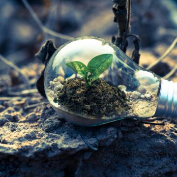 Comunicazione ingannevole: il greenwashing