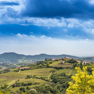 I 60 anni del Collio – 1964-2024 – Passato, presente e futuro di un consorzio ancora da raccontare