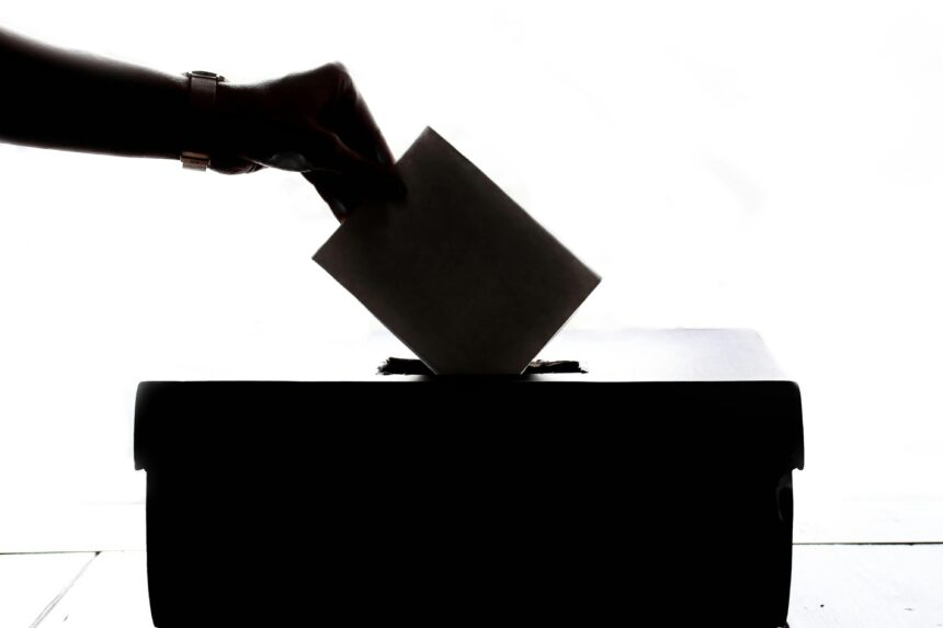 Elezioni europee 2024: la candidatura di Ilaria Salis fa riflettere su come stanno cambiando velocemente i parametri sociopolìtici
