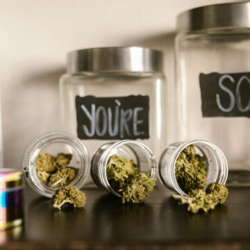 AUSTRALIA – Lo Stato di Victoria avvia il primo test al mondo di guida dopo assunzione di cannabis terapeutica