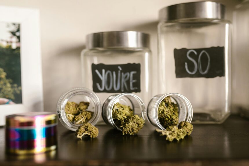 AUSTRALIA – Lo Stato di Victoria avvia il primo test al mondo di guida dopo assunzione di cannabis terapeutica