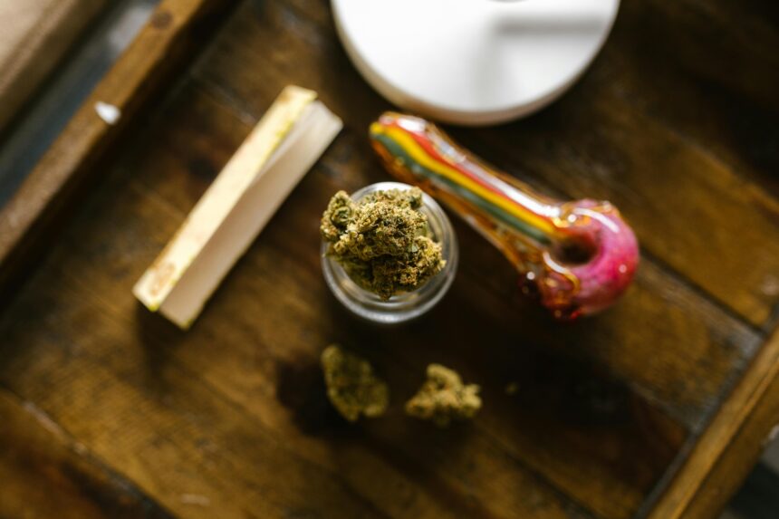 Esportazione della Cannabis legale: il caso Marocco