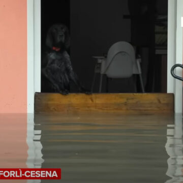 Maltempo – CIA: “Serve un piano straordinario per la messa in sicurezza del territorio”